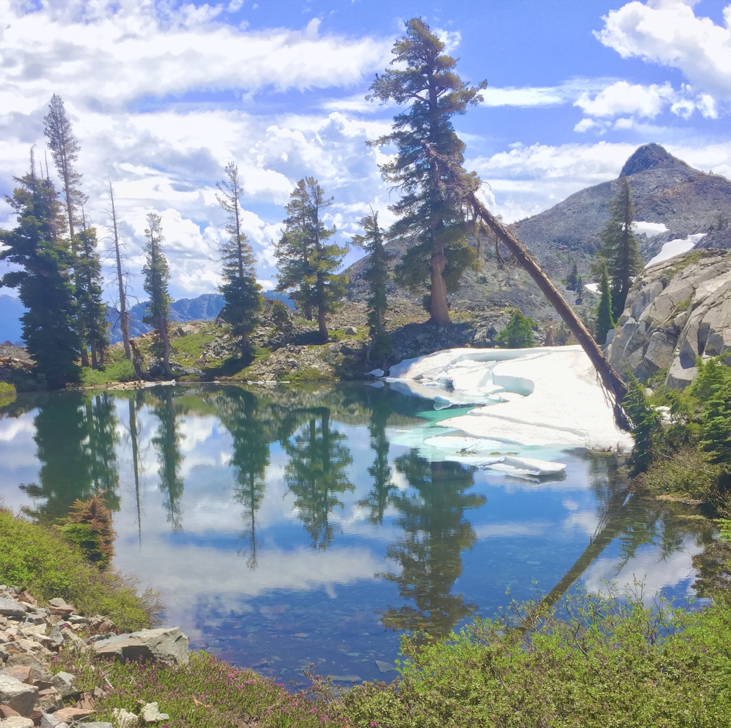 Alpine lake reflecting pine trees and a snowy mountain beneath bright clouds
