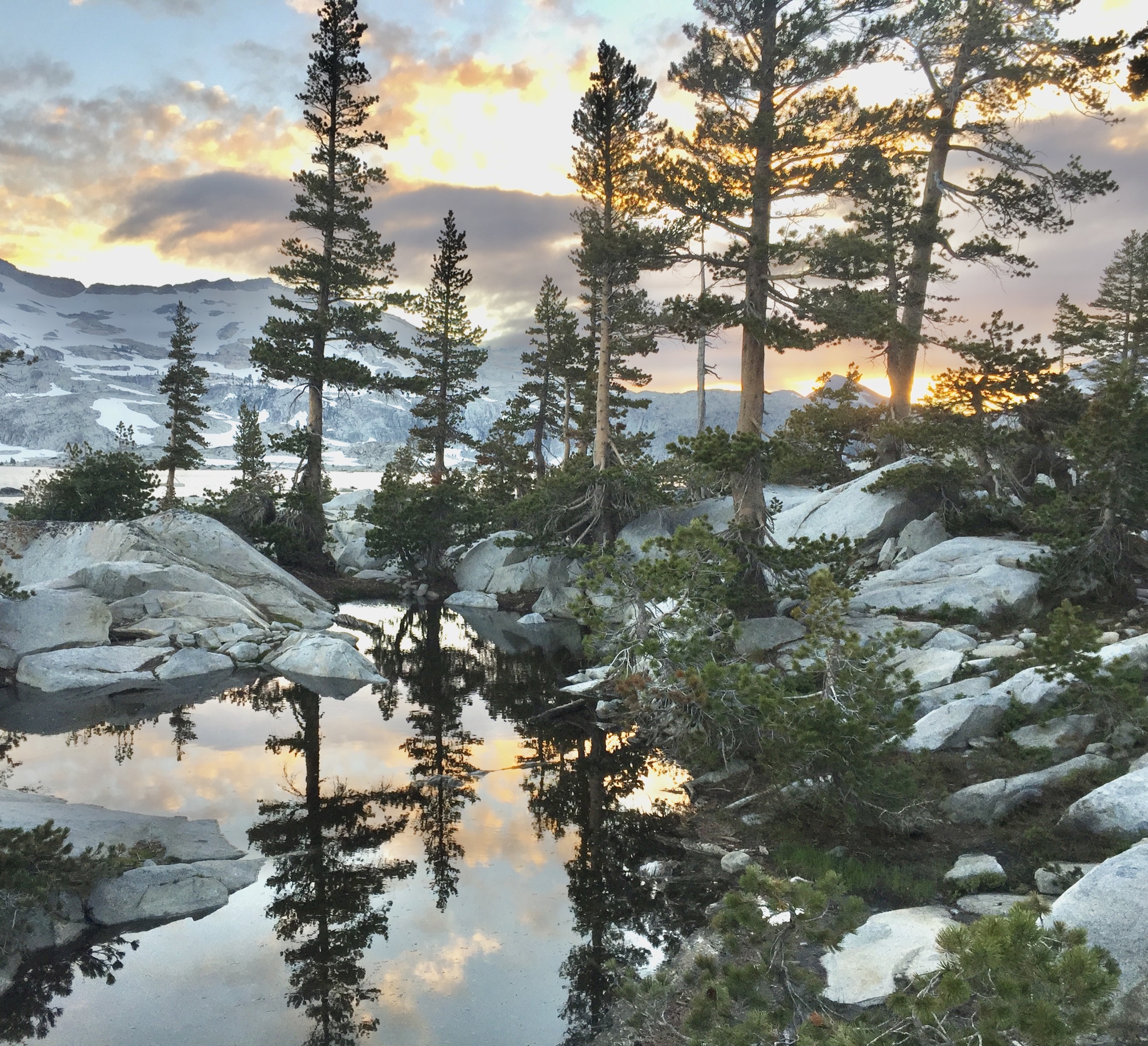 Pine trees and snowy mountain rocks reflected in a still pond at sunset