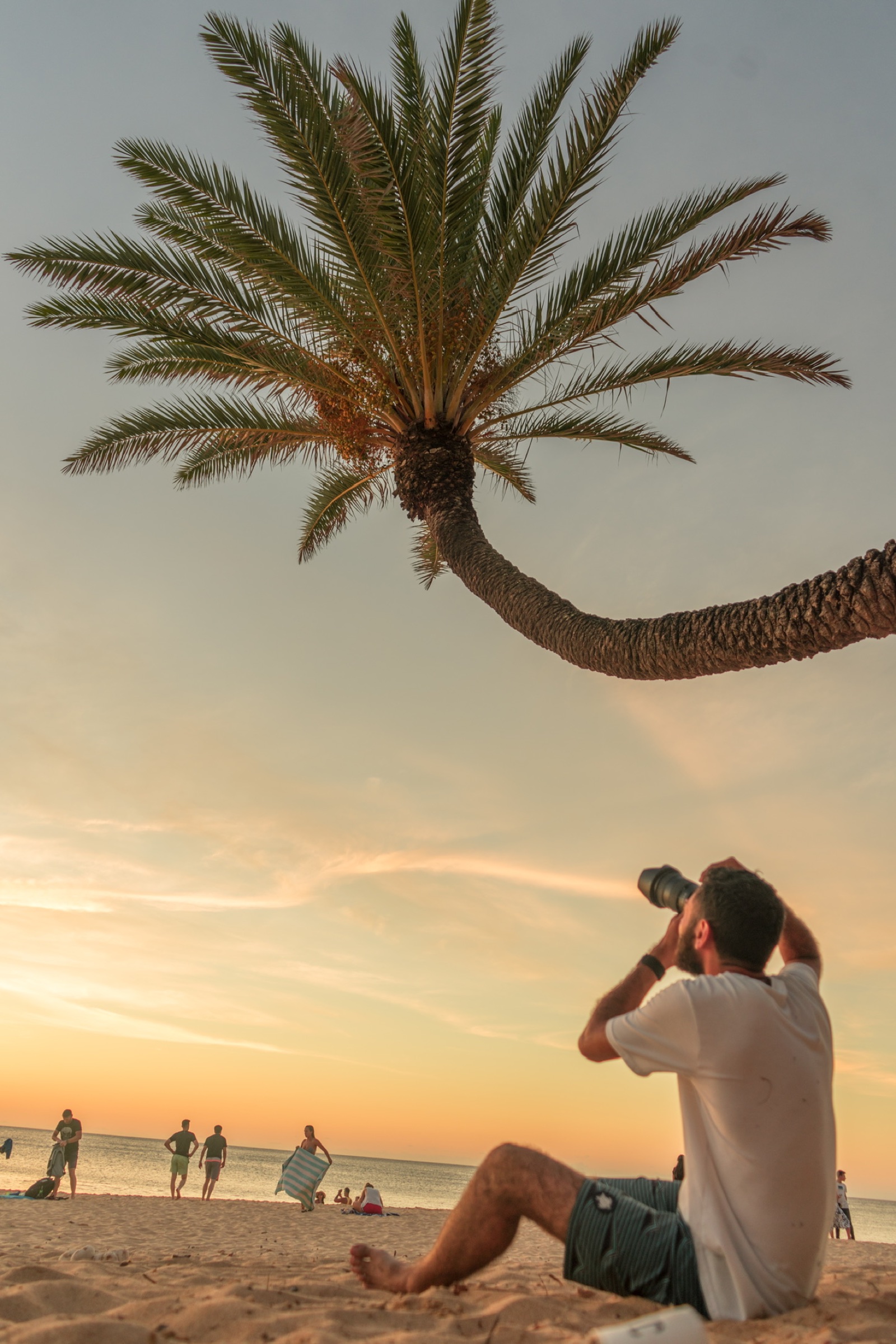 A photographer seated beneath a curved palm tree at the beach during sunset