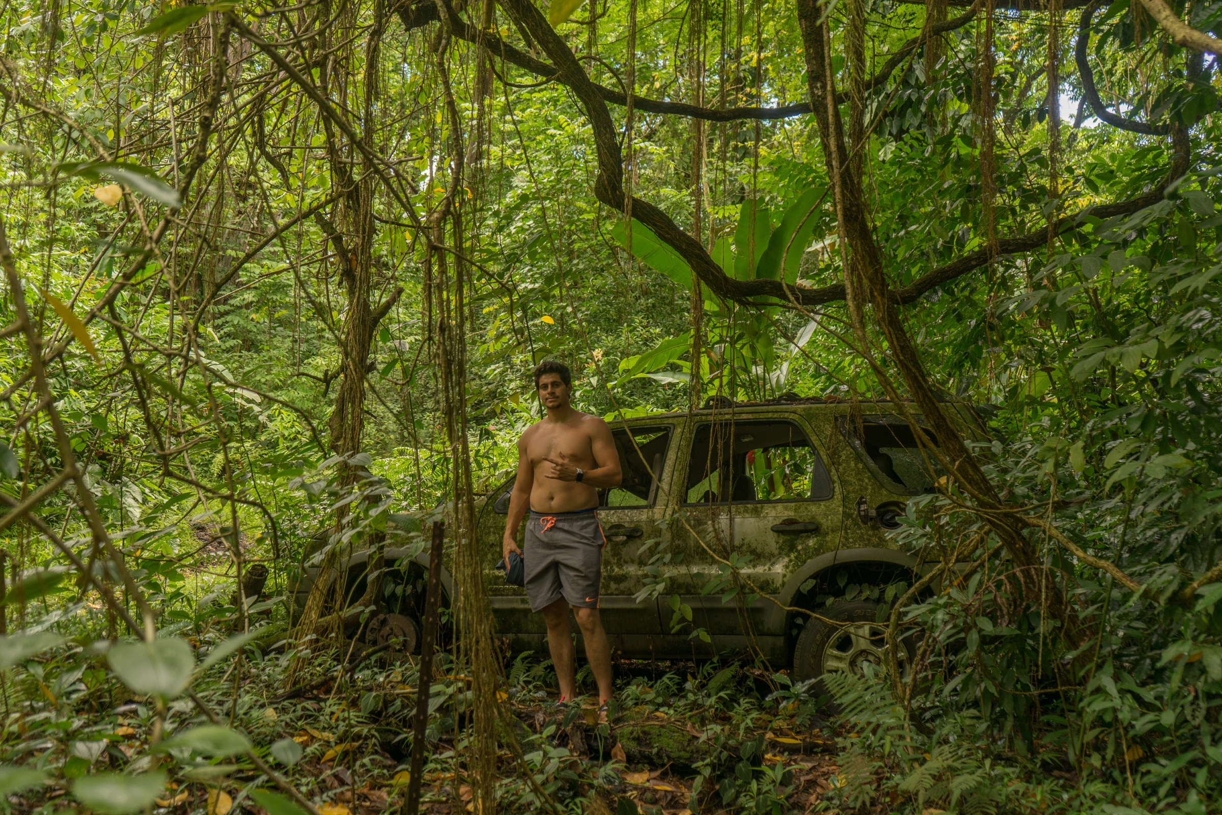 A person standing beside an old car surrounded by dense jungle